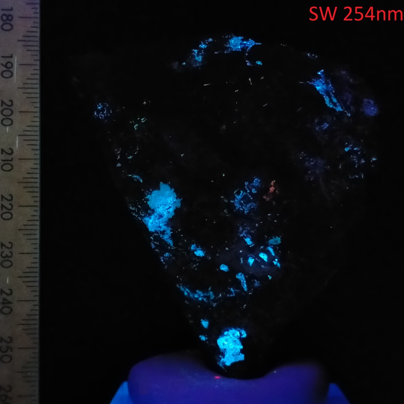 Sphalerite fluorescent long & short wave mineral specimen Balmat New York 855ct