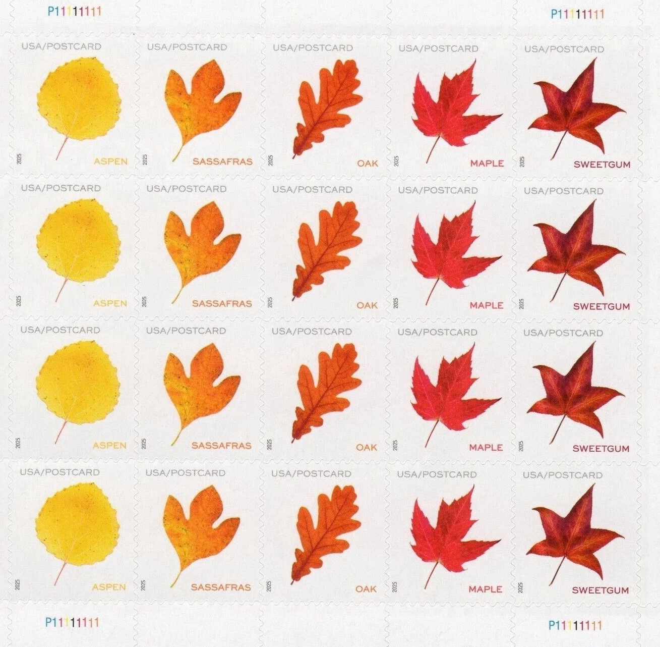 5 Sheets Total 100 Pcs Fall Vibrant Leaves 2025 61¢ Postcard Unused Panes