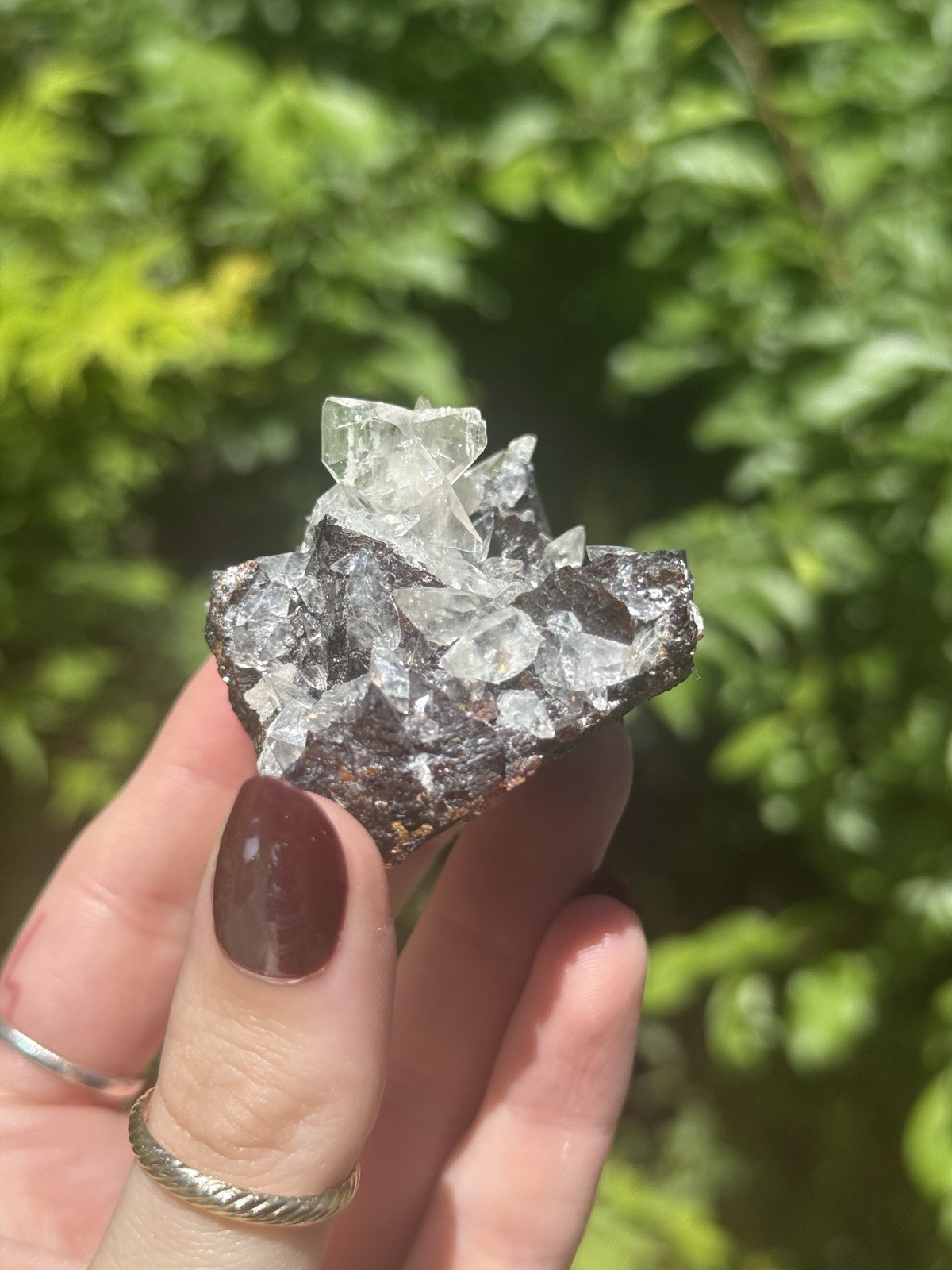 Calcite on Sphalerite – Elmwood Mine, Tennessee, USA | Collector Mineral