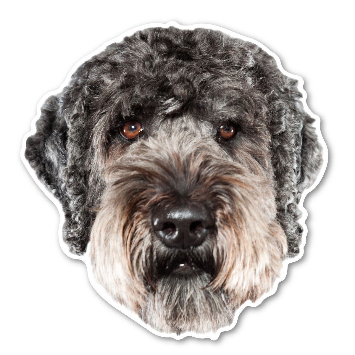 (Black) Labradoodle Magnet (Black) Labradoodle Magnet