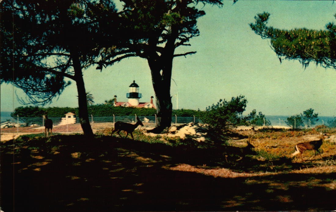 Vintage Postcard Point Pinos Lighthouse Pacific Grove CA