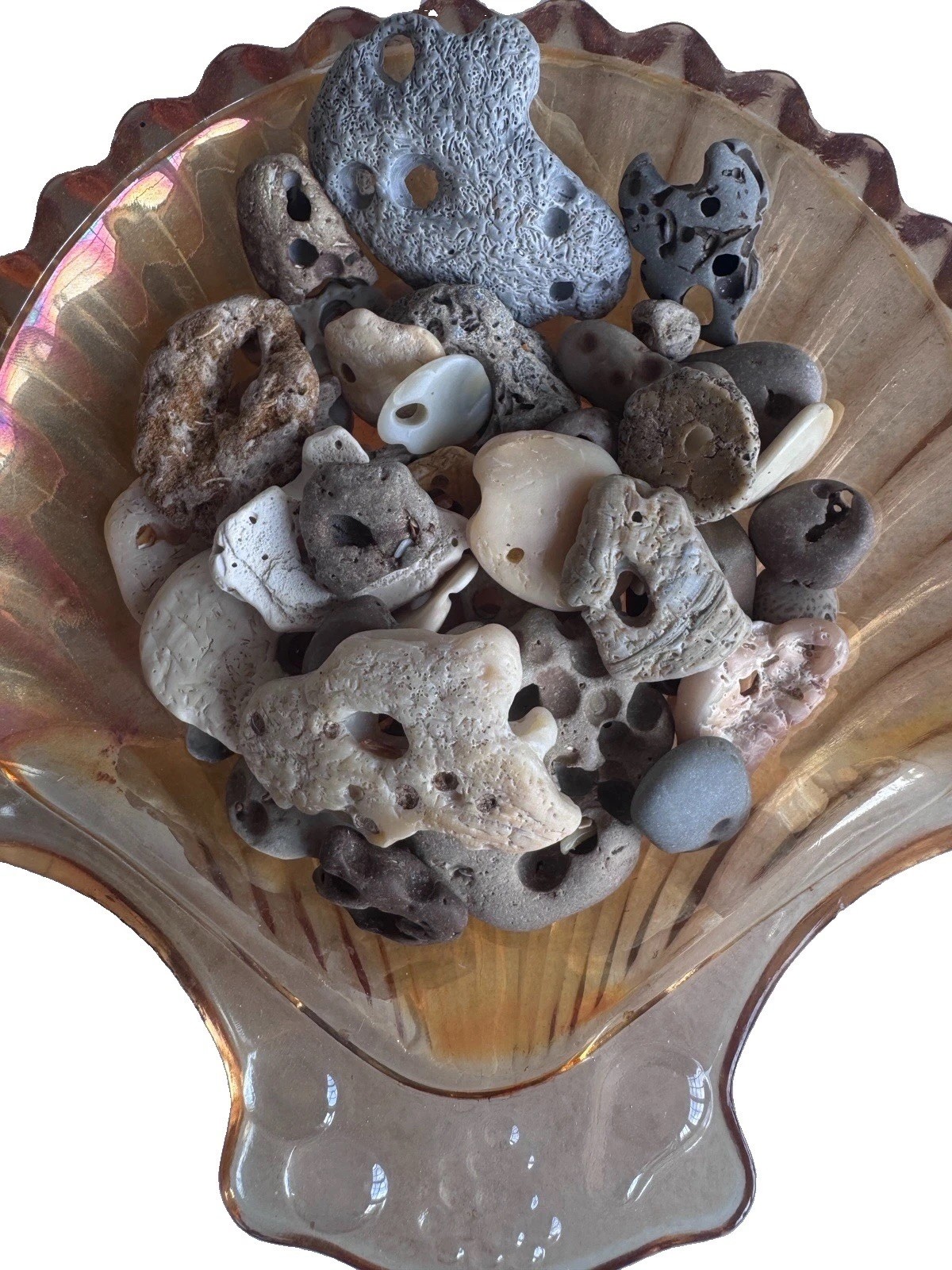 40 Natural Hag Stones| Genuine Holy beach Stones| Craft Lot,Wicca,Pagan C
