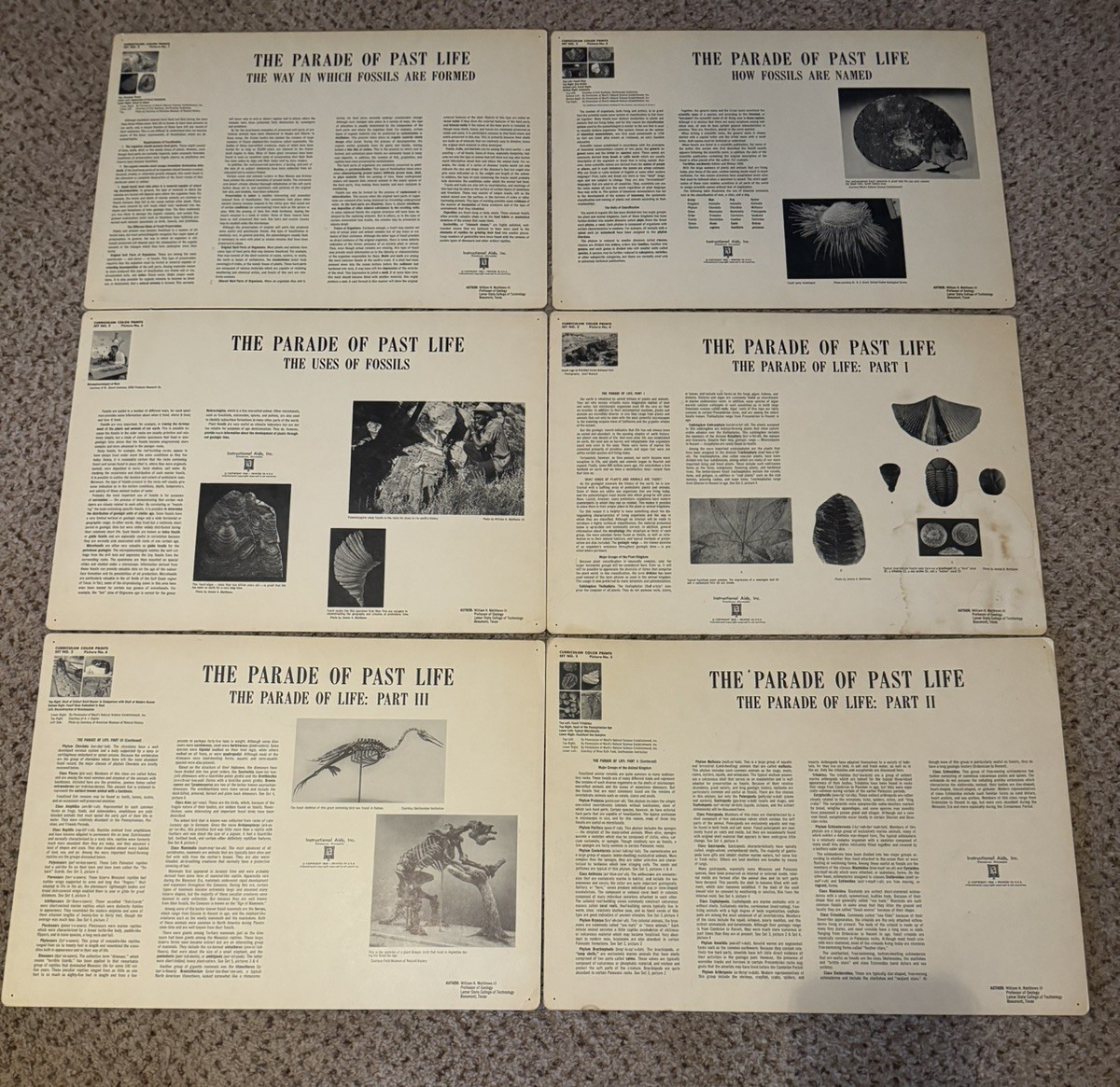 Vintage 1968 Educational Posters From Instructional Aids, Inc.