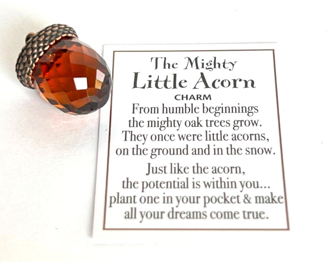 Ganz Mighty Little ACORN Charm/Token Faceted Glass w/Brass Top +Poem Card 1\