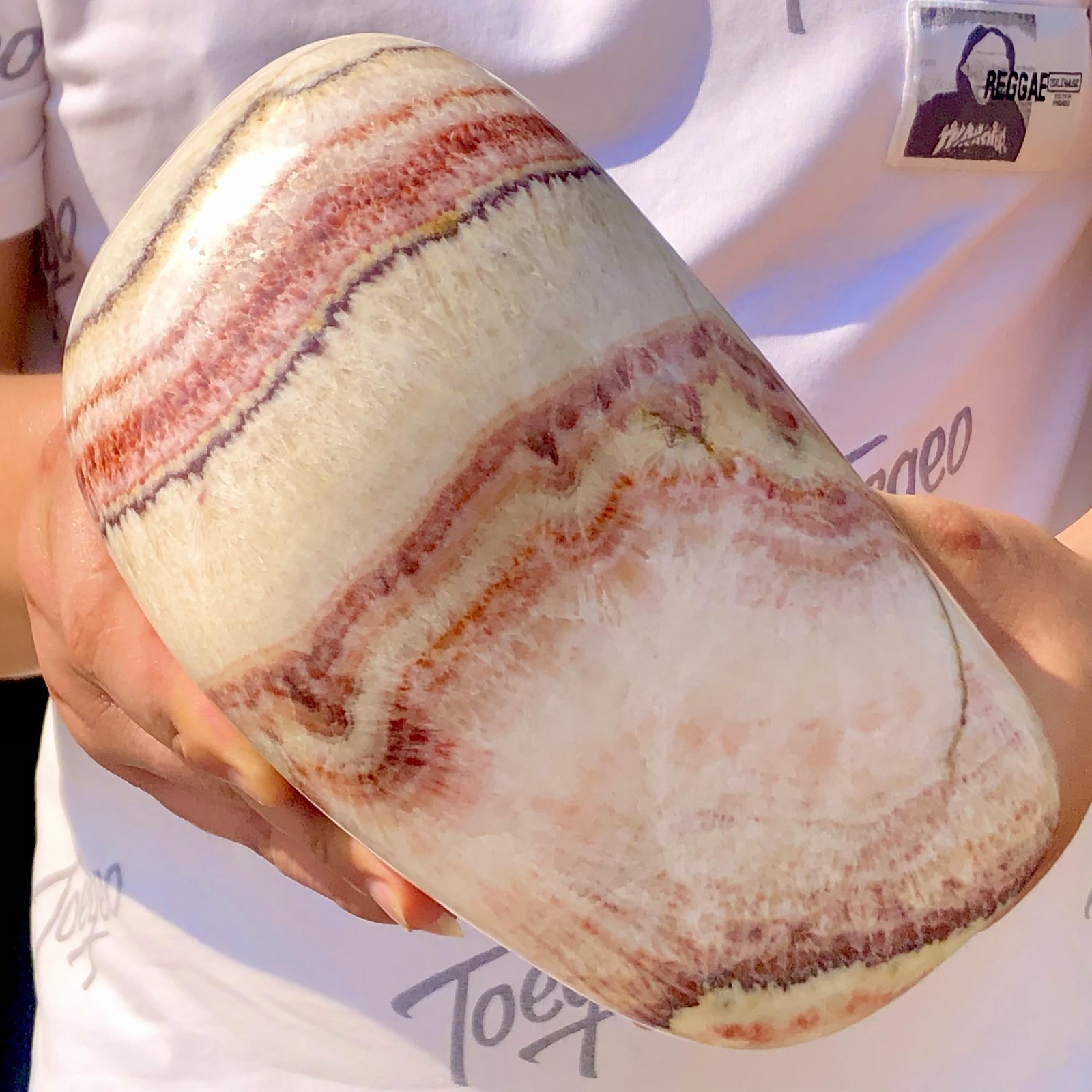 7.83LB Large beautiful Natural Red striped Pork Stone Landscape mineral specimen
