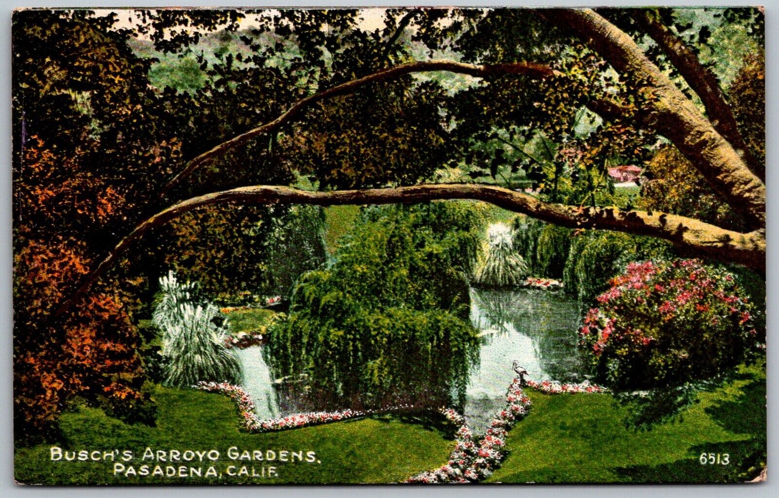 Pasadena California c1910 Postcard Busch\'s Arroyo Gardens