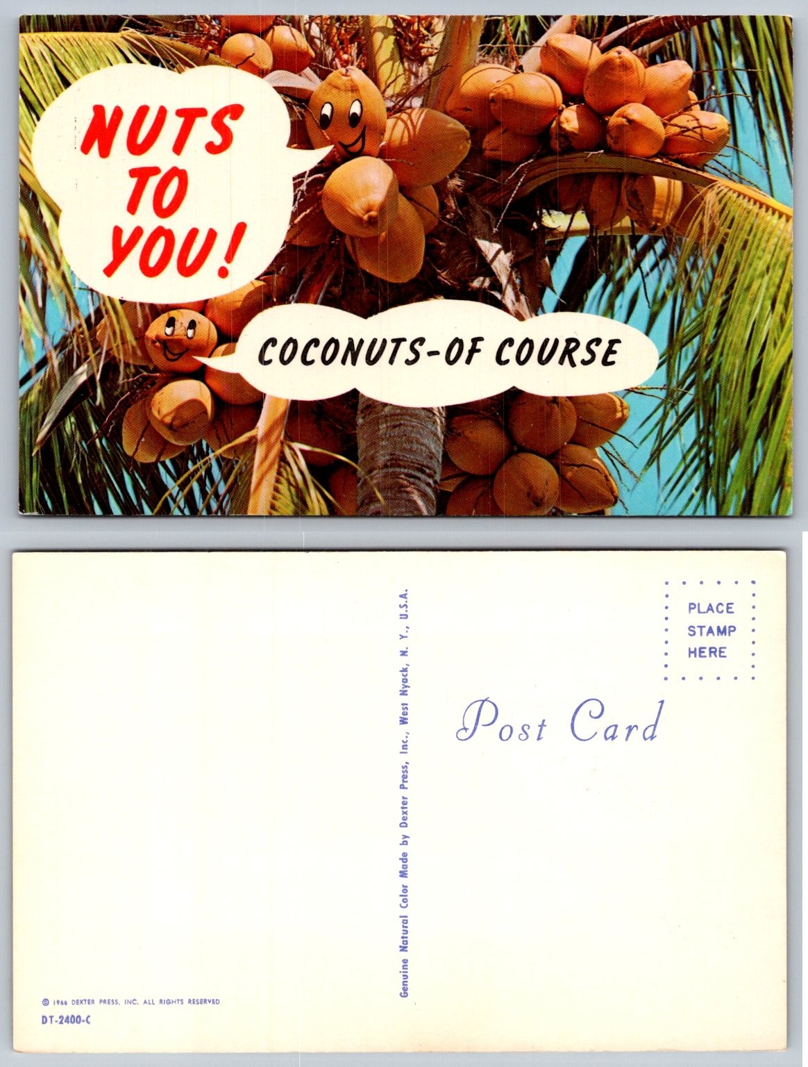 NUTS TO YOU Funny Talking Coconuts Vintage 1966 Dexter Press Postcard