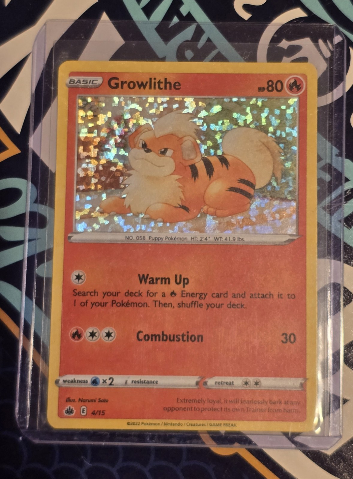 2022 Pokémon Growlithe 4/15 Holo Rare NM 