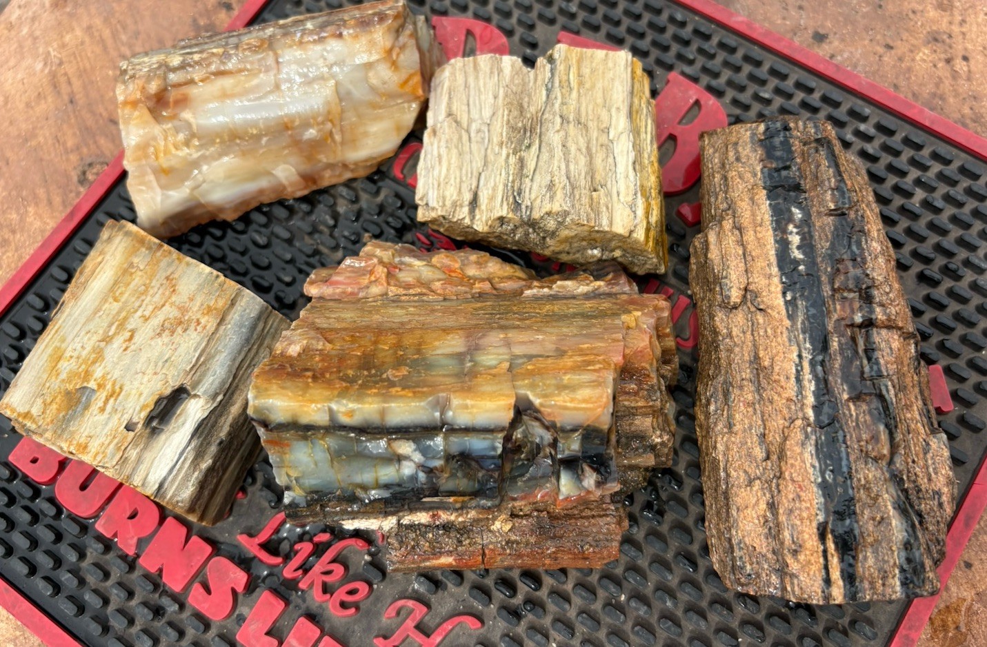 ☘️RR⛏️: 5 PCS Excellent Mixed Lot Arizona Petrified Wood, 5 Lb 🌈 ☘️RR⛏️: 5 PCS Excellent Mixed Lot Arizona Petrified Wood, 5 Lb 🌈