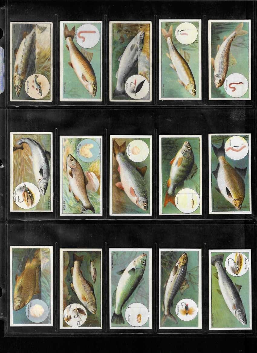 FULL SET: 1924 Imperial Tobacco Company FISH & BAIT