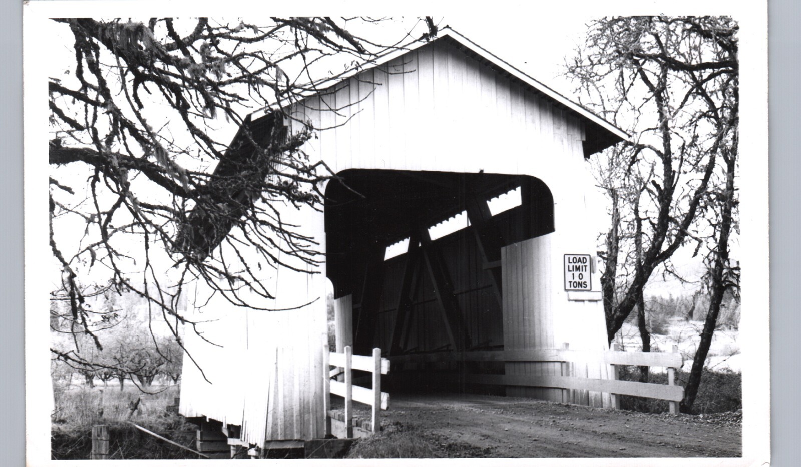 LANE COUNTY COVERED BRIDGE crow or real photo postcard rppc oregon history