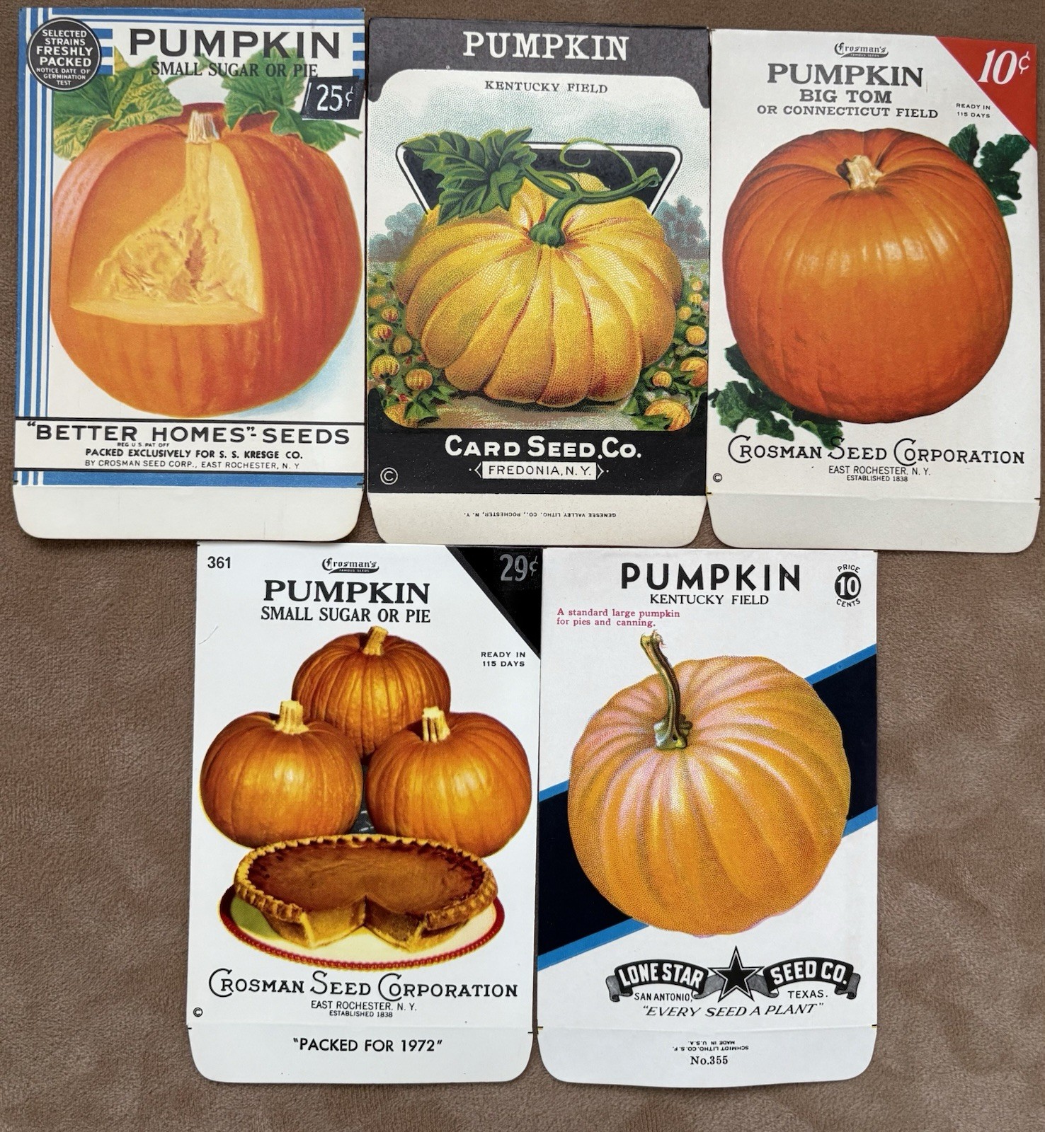 Lot of 5 Different Vintage Pumpkin Seed Packets, Old Stock, Unused Halloween Lot of 5 Different Vintage Pumpkin Seed Packets, Old Stock, Unused Halloween