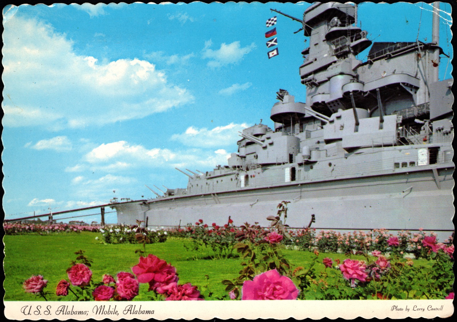 Continental PC Mobile AL Rose Society Donated Bushes to Beautify Battleship Park