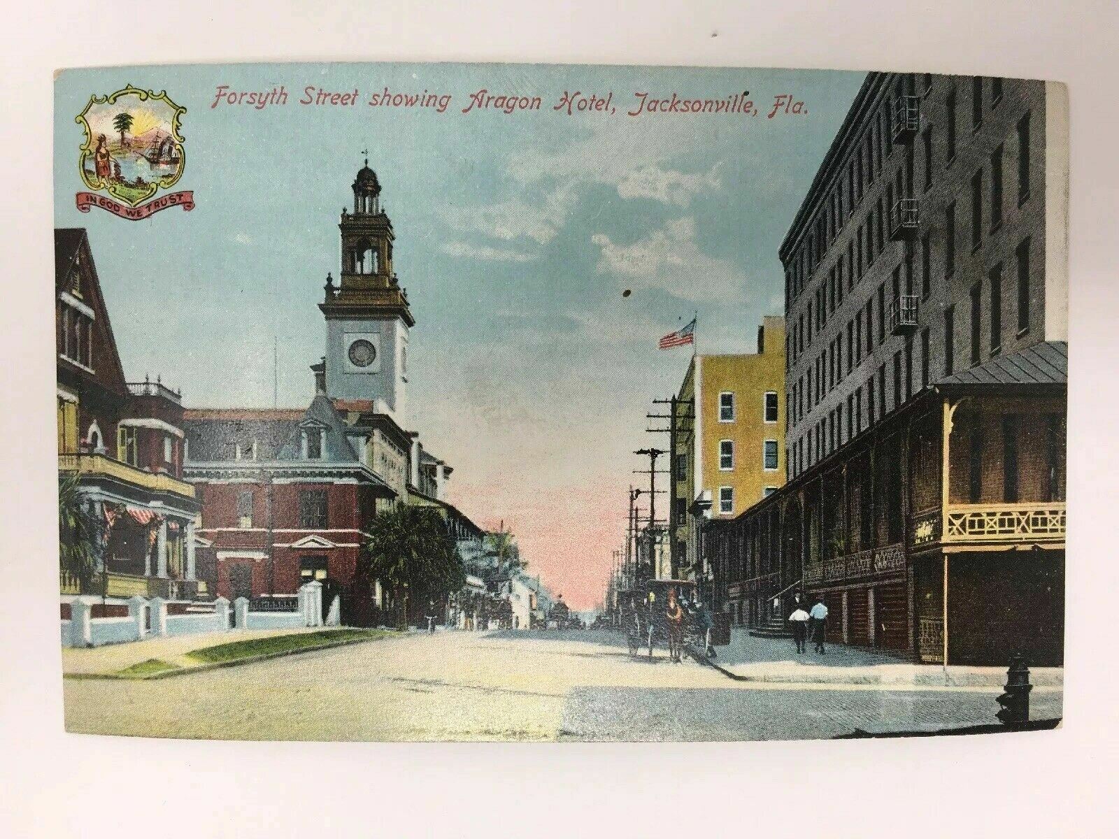 c. 1910 Aragon Hotel Forsyth Street Jacksonville FL Postcard Horse Carriage