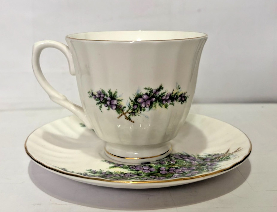 Vtg. Mayfair Bone China Teacup & Saucer Set w/Gold Trim Excellent Condition