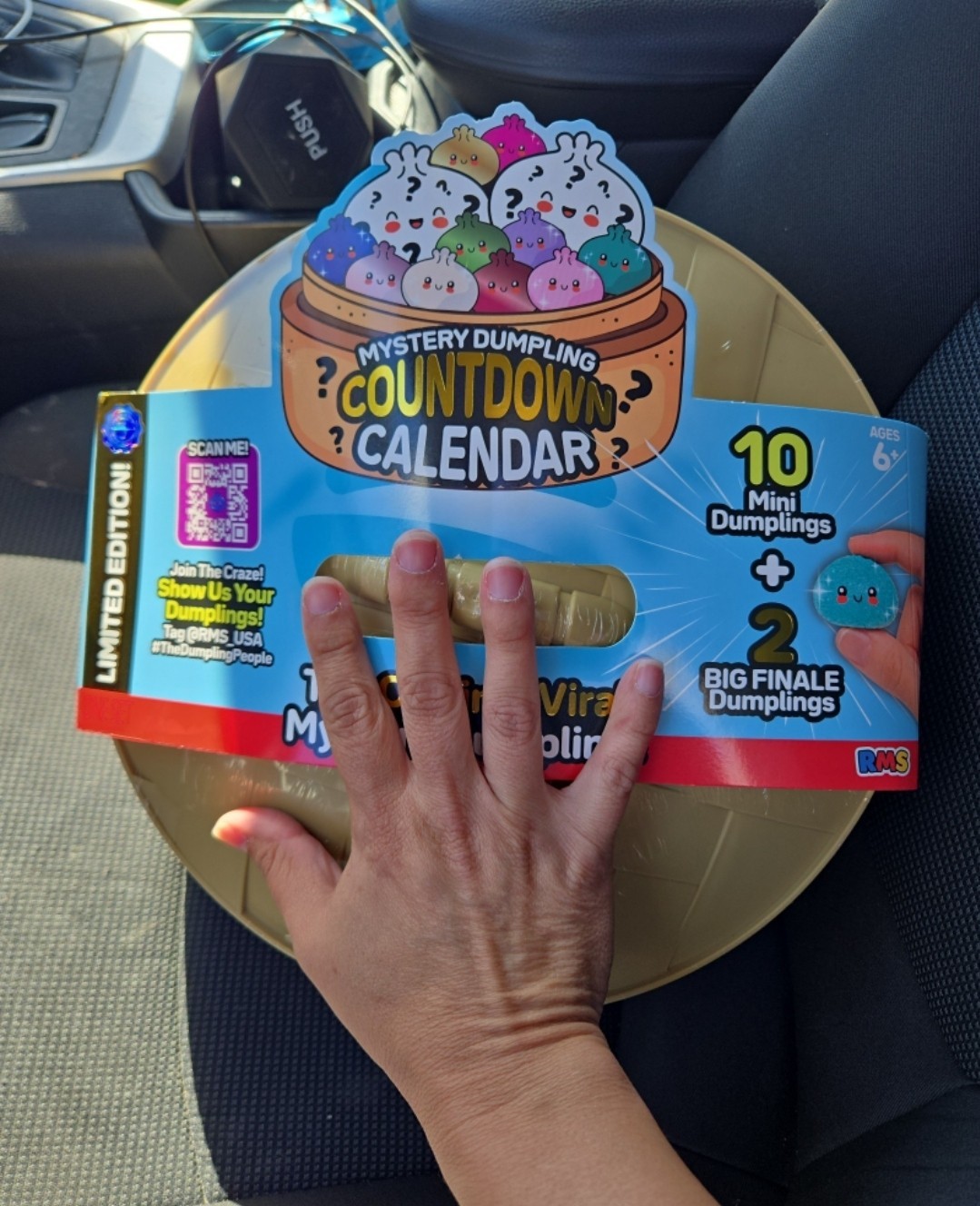 RMS Mystery Dumpling Calendar Limited Edition 