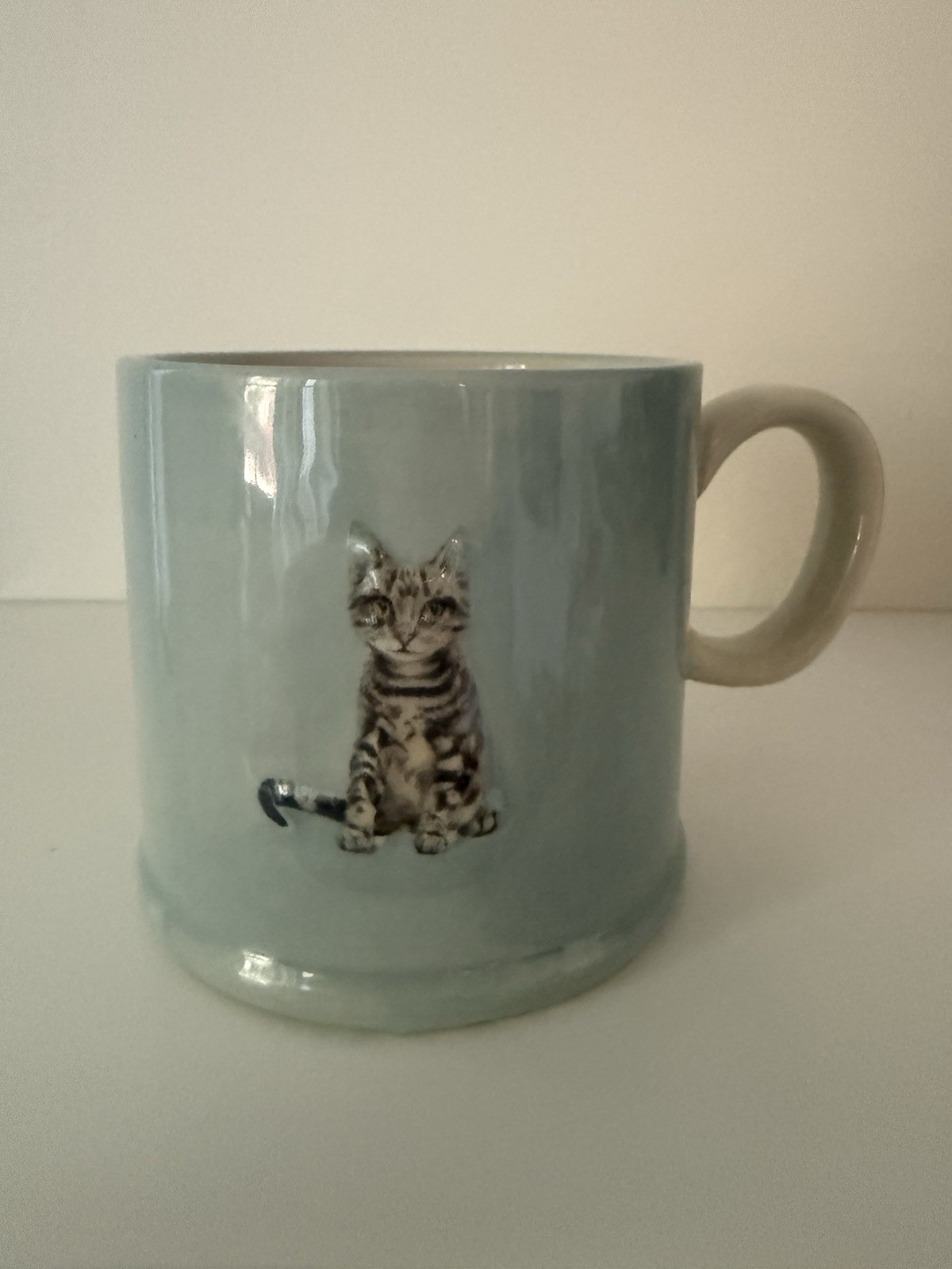 The Old Pottery Company Tabby Cat Mug Light Blue 3D Embossed Kitten 12 oz
