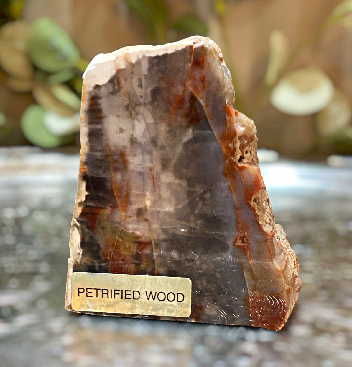 Vintage Petrified Wood Agatized Stand Up Disply Cut Polished 1.2lbs Colorful