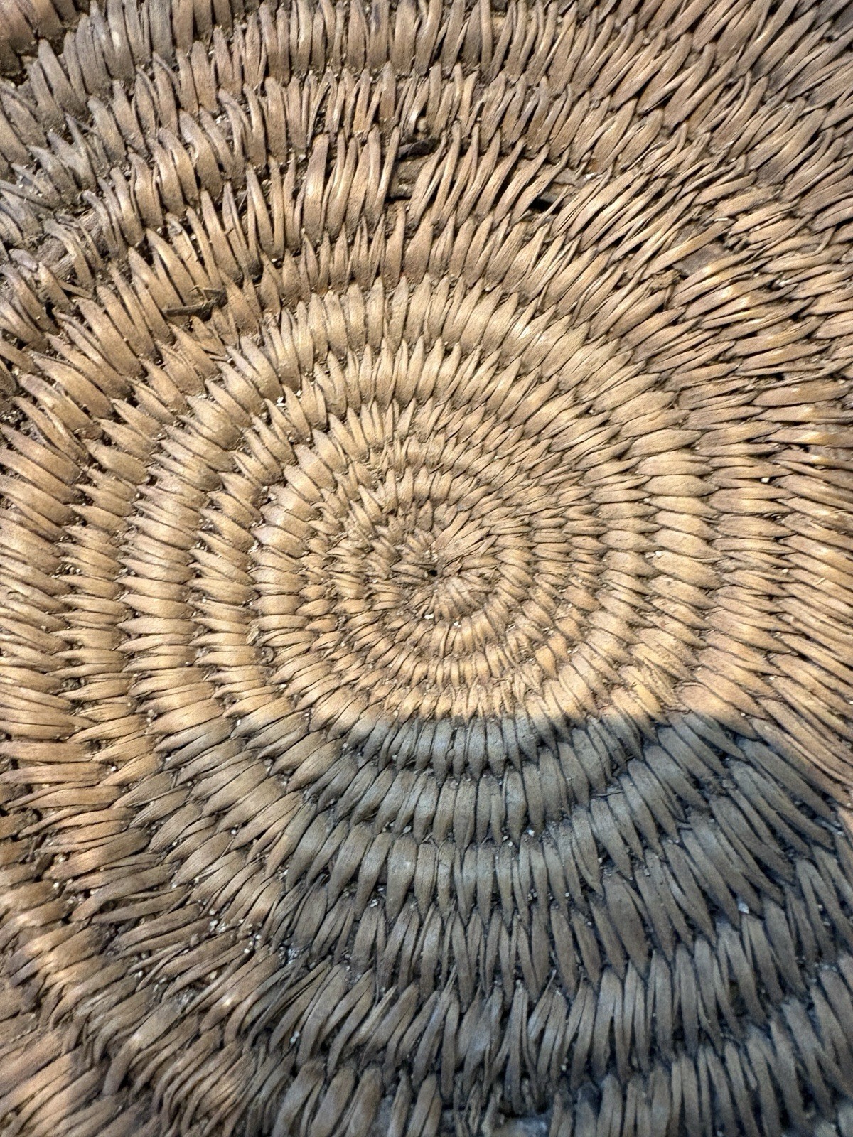 Large 13.5\