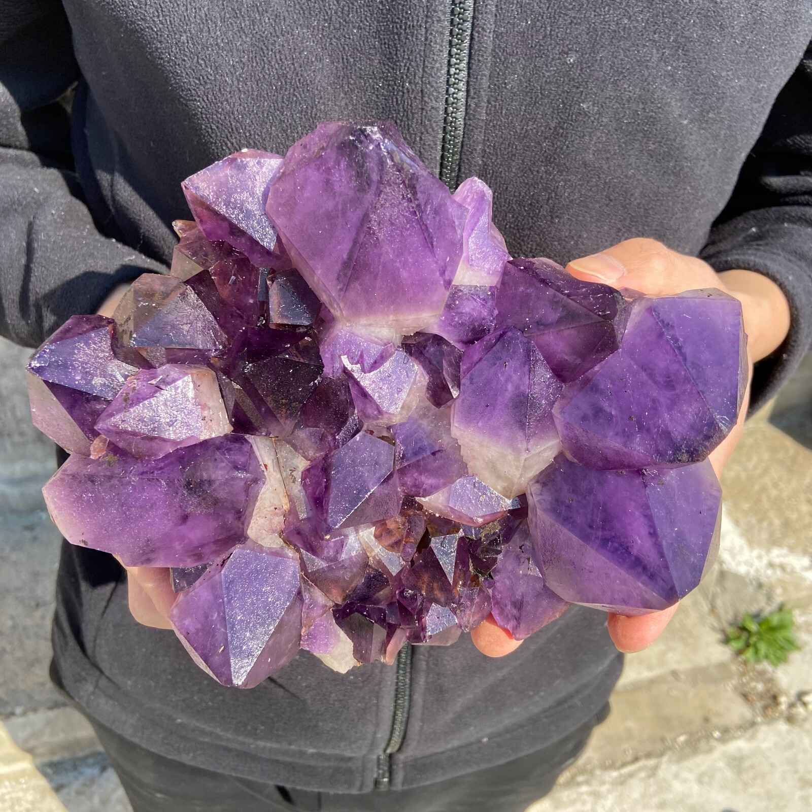 5.7lb Large Natural Amethyst geode quartz cluster crystal specimen Healing