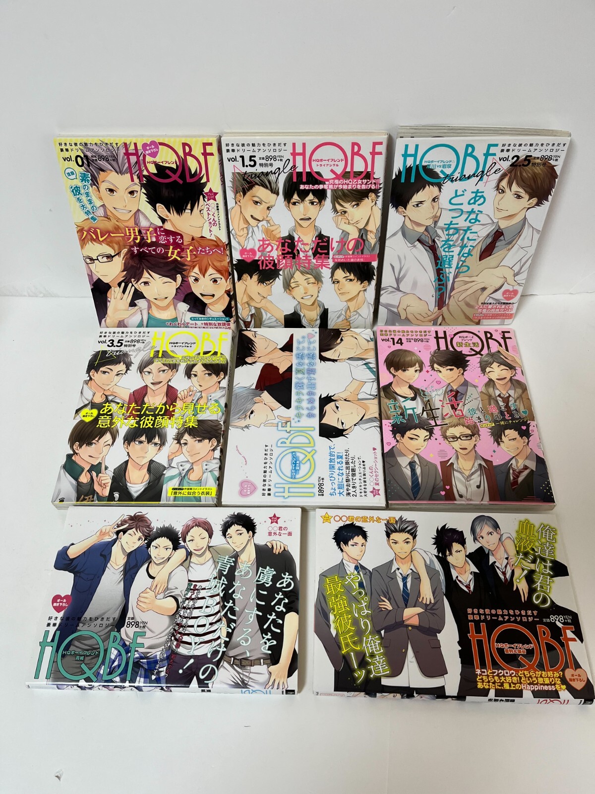 Haikyuu Kareshi HQBF Kareshi HQ Boyfriend Anthology book 8 set