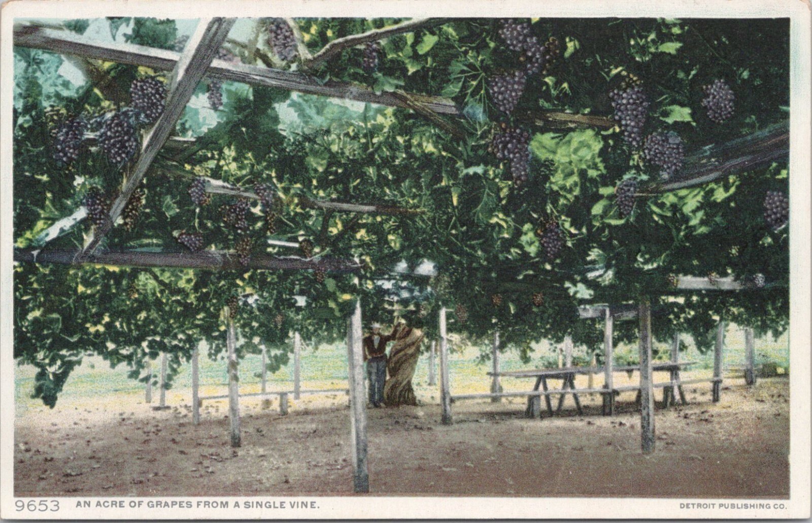 Lithograph ** California Scene \ Lithograph ** California Scene \