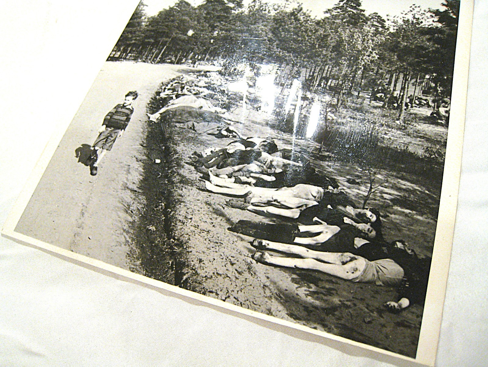 Press Photo Black and White Germany 1945 Liberation Bergen-Belsen
