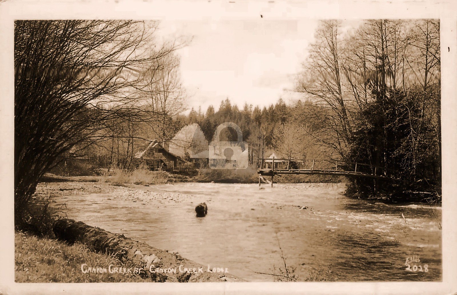 Canyon Creek at Canyon Creek Lodge WA Ellis RPPC Photo Postcard COPY