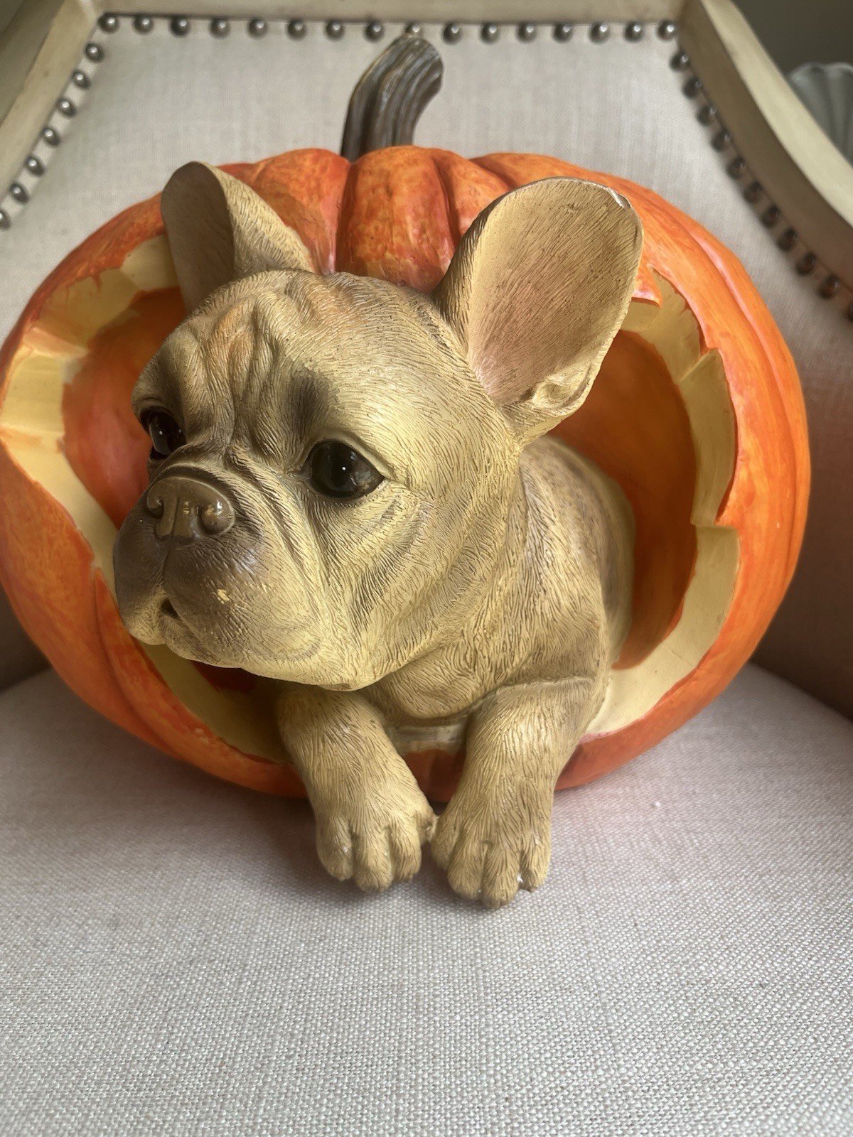 NEW Charming Figurine  French Bulldog Puppy Peeking Out Of Pumpkin .QUALITY