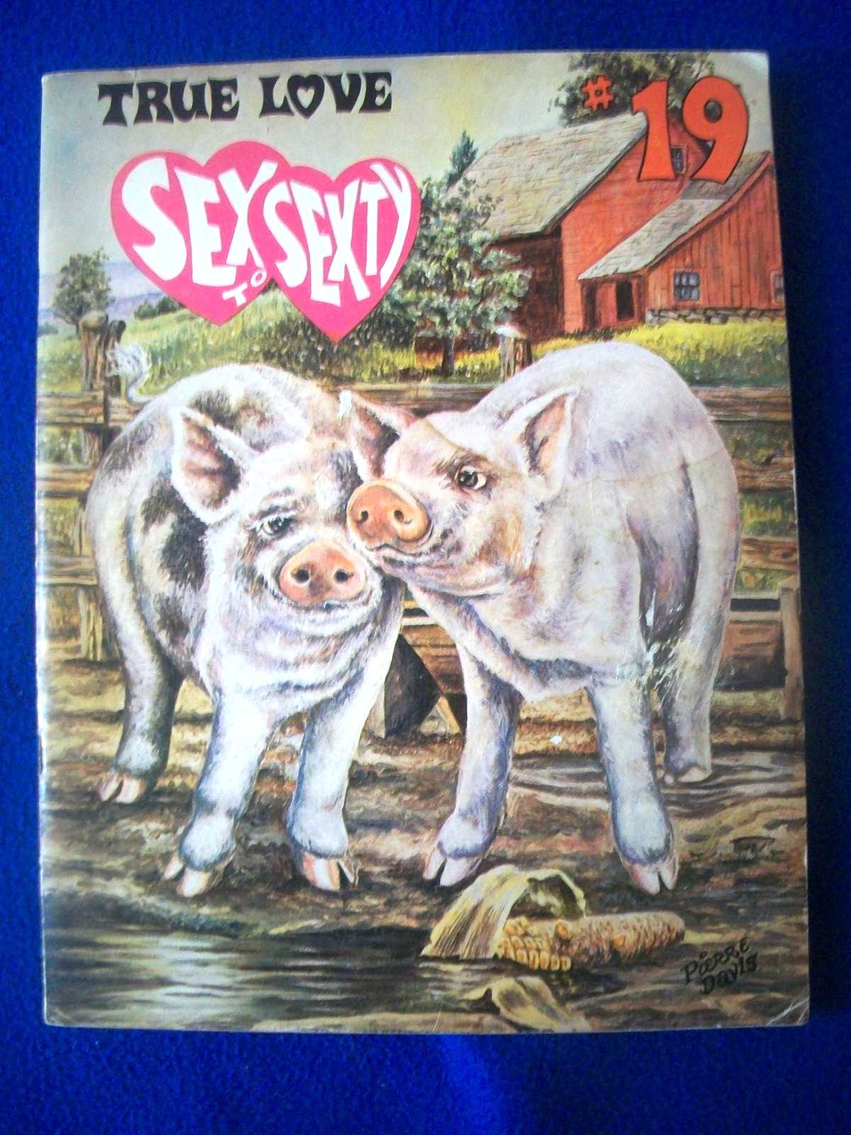 Sex to Sexty #19 True Love Dirty Risque Adult Jokes Cartoons Magazine 1968 humor
