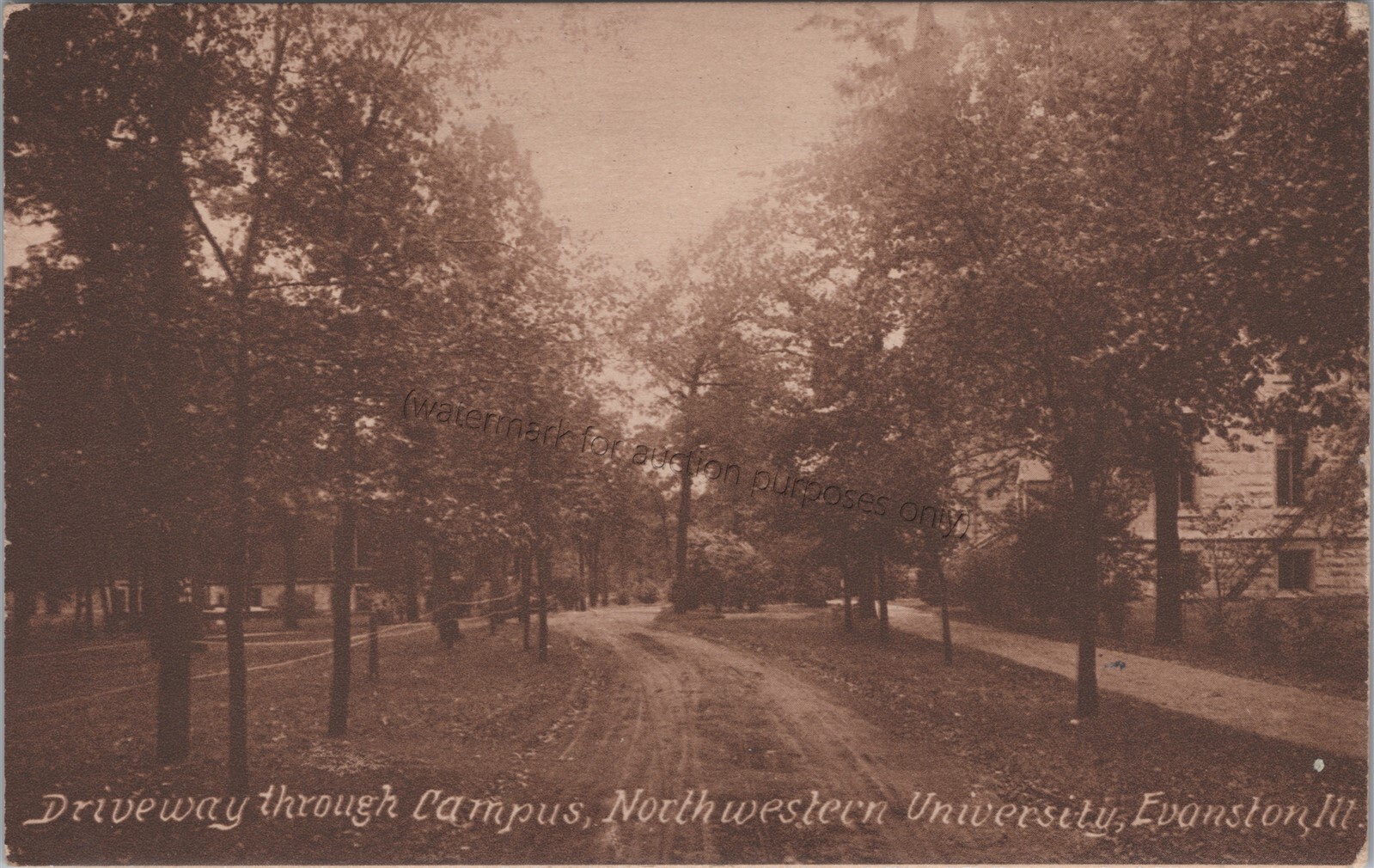 Evanston, IL: 1915 Northwestern University - Vintage Illinois Postcard