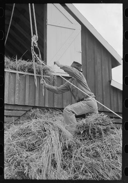 Lake Dick Arkansas 1938 Hay Hoist to Loft Farm Security Administration