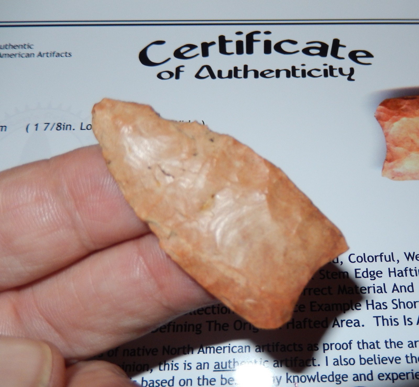 COLORFUL ORANGE PATINATED FLUTED CLOVIS POINT W/KEN PARTAIN COA TENNESSEE C217 COLORFUL ORANGE PATINATED FLUTED CLOVIS POINT W/KEN PARTAIN COA TENNESSEE C217