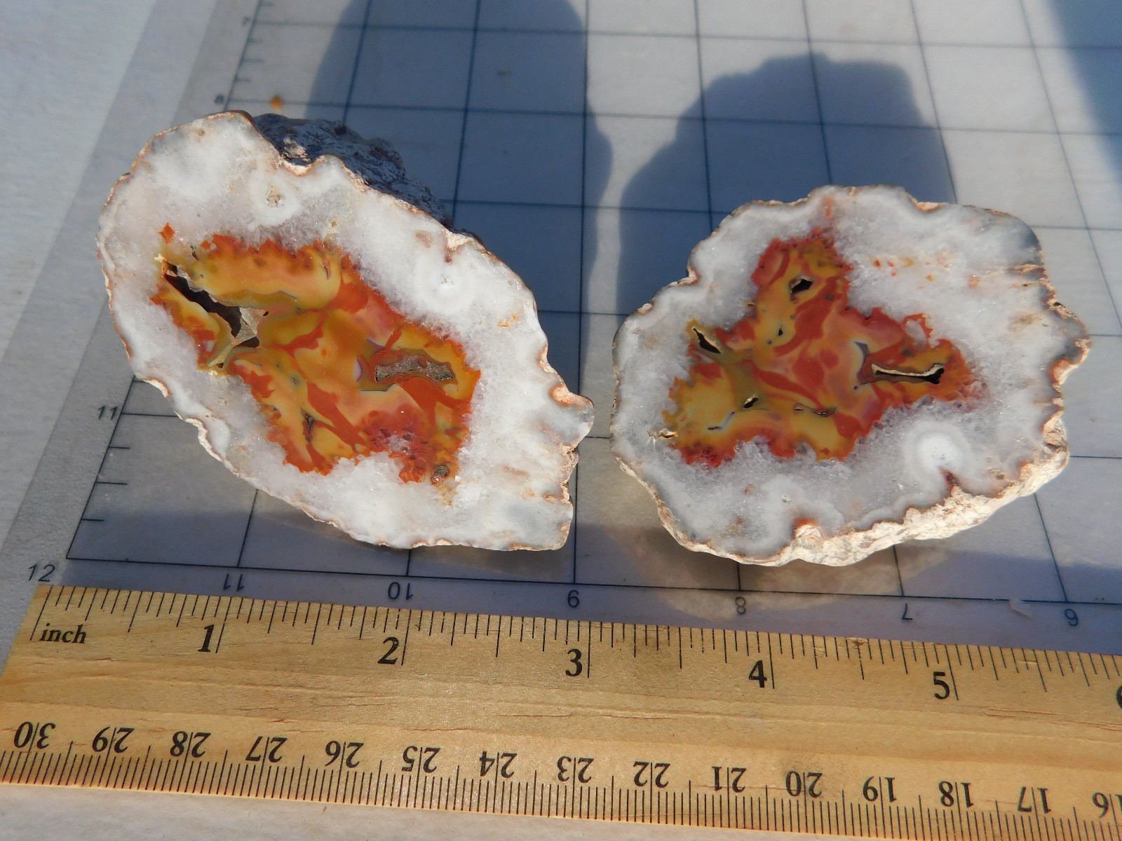 Gorgeous, Fiery, Mirror Polished Puma Agate Pair Gorgeous, Fiery, Mirror Polished Puma Agate Pair