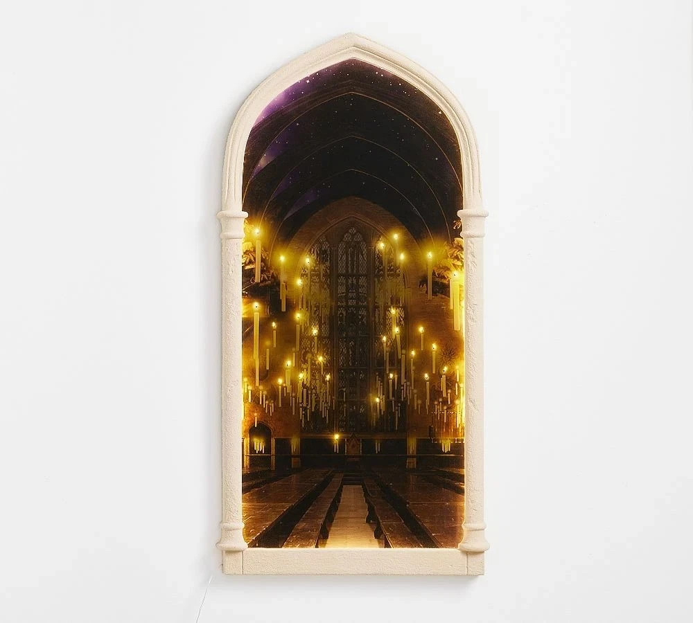 New Pottery Barn Harry Potter Lit Mirror Door 20x42 Light Up Hologram Decor