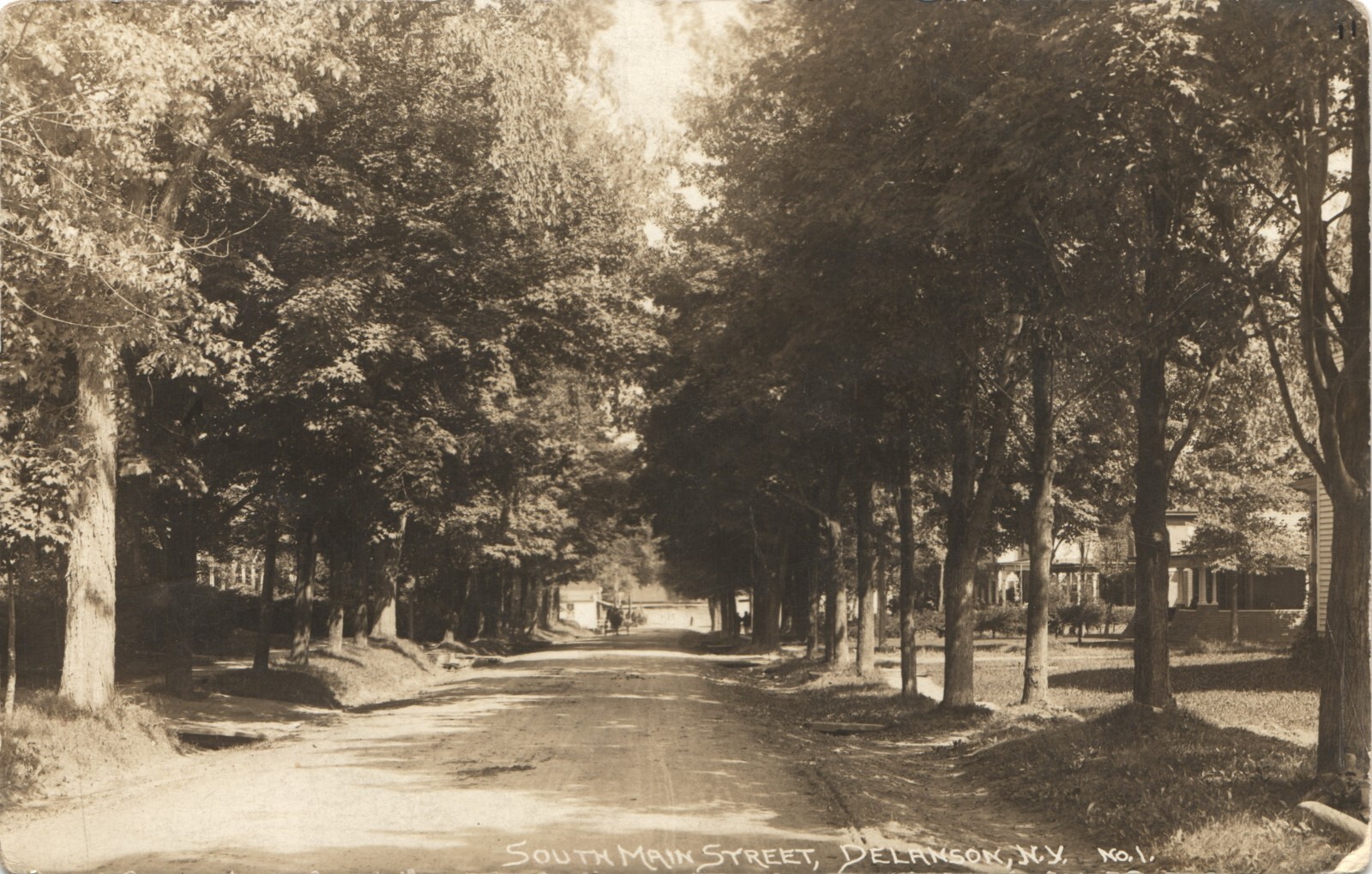 SOUTH MAIN STREET original real photo postcard rppc DELANSON NEW YORK NY c1910