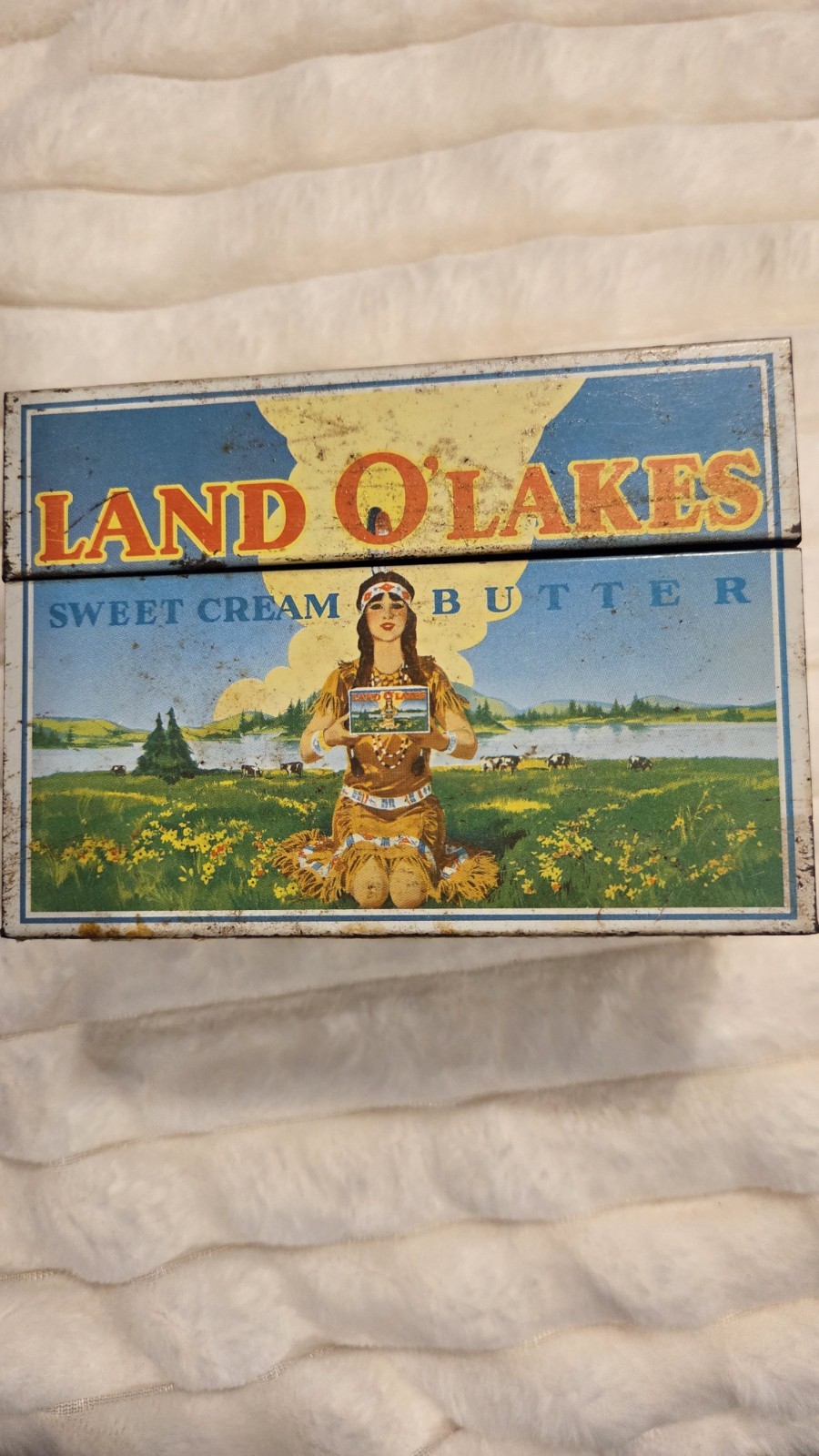 Vintage Land O’Lakes Recipe Box With Recipes 