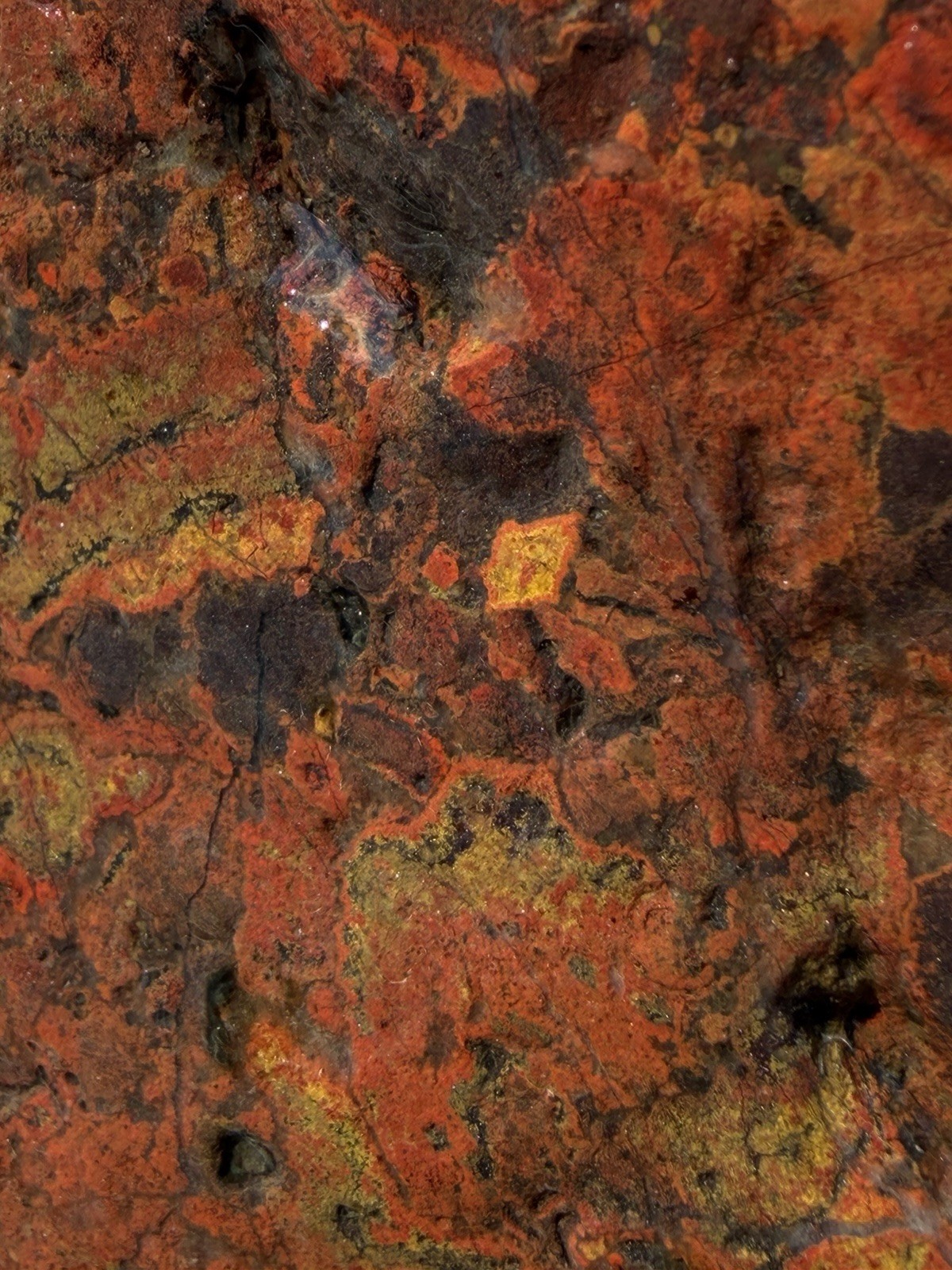 Hand Picked Red Brecciated Jasper Rough Display Stone 8in Natural