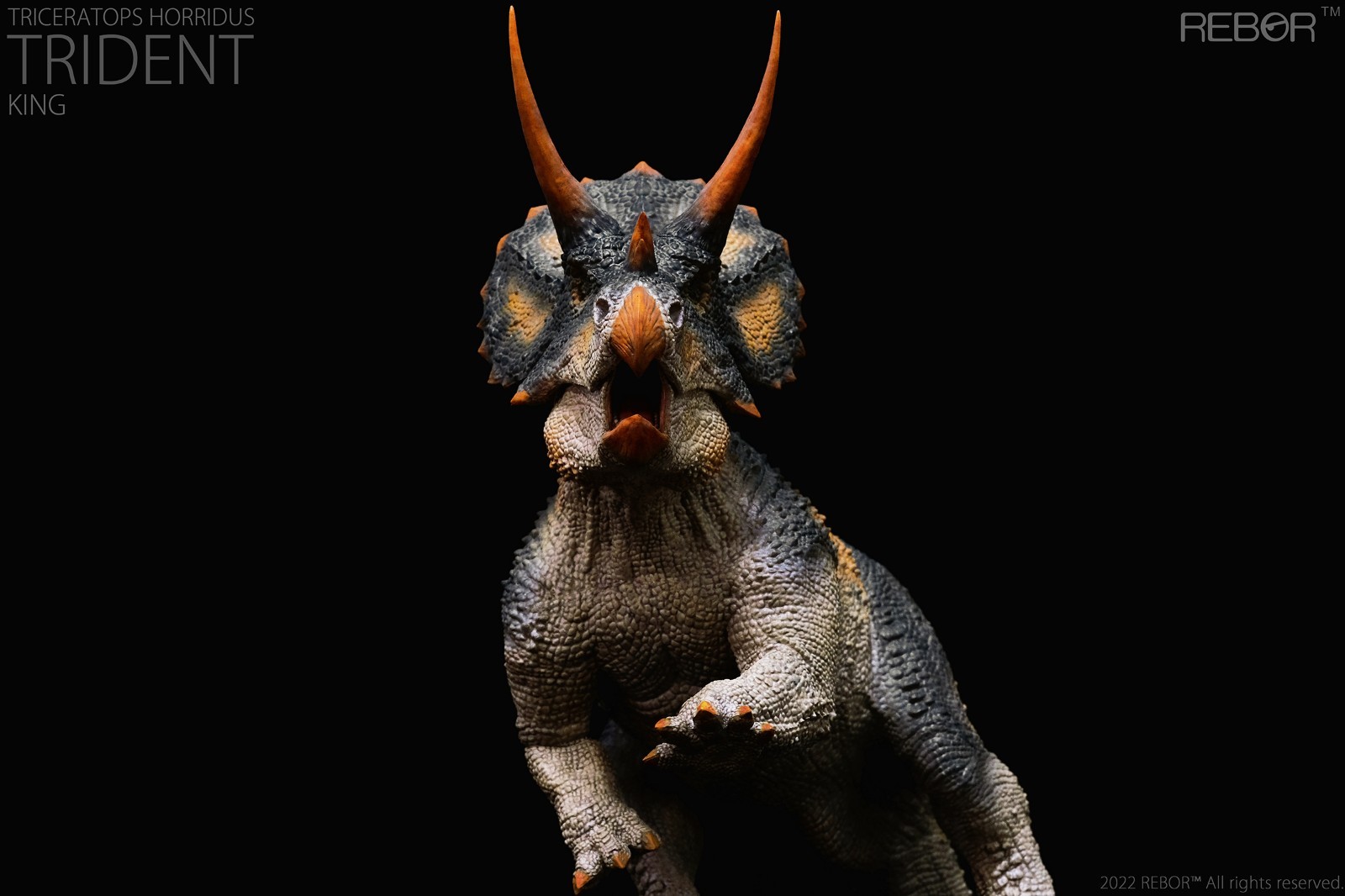 REBOR 1:35 Triceratops horridus REBOR 1:35 Triceratops horridus