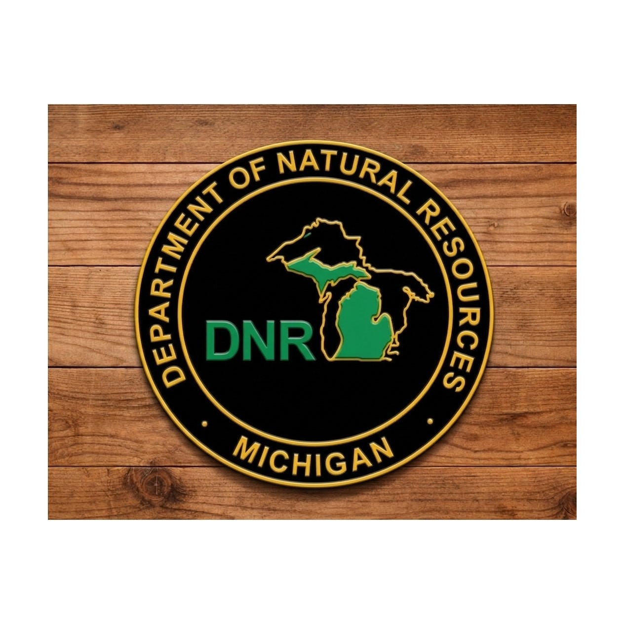 Michigan Department of Natural Resources Sign DNR Fish Game Hunt Outdoors