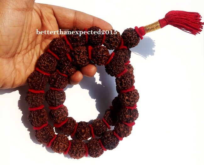 RARE 5 Mukhi Rudraksha Five Face Rudraksh 32+1 Nepal 20-22 MM Beads Kantha mala