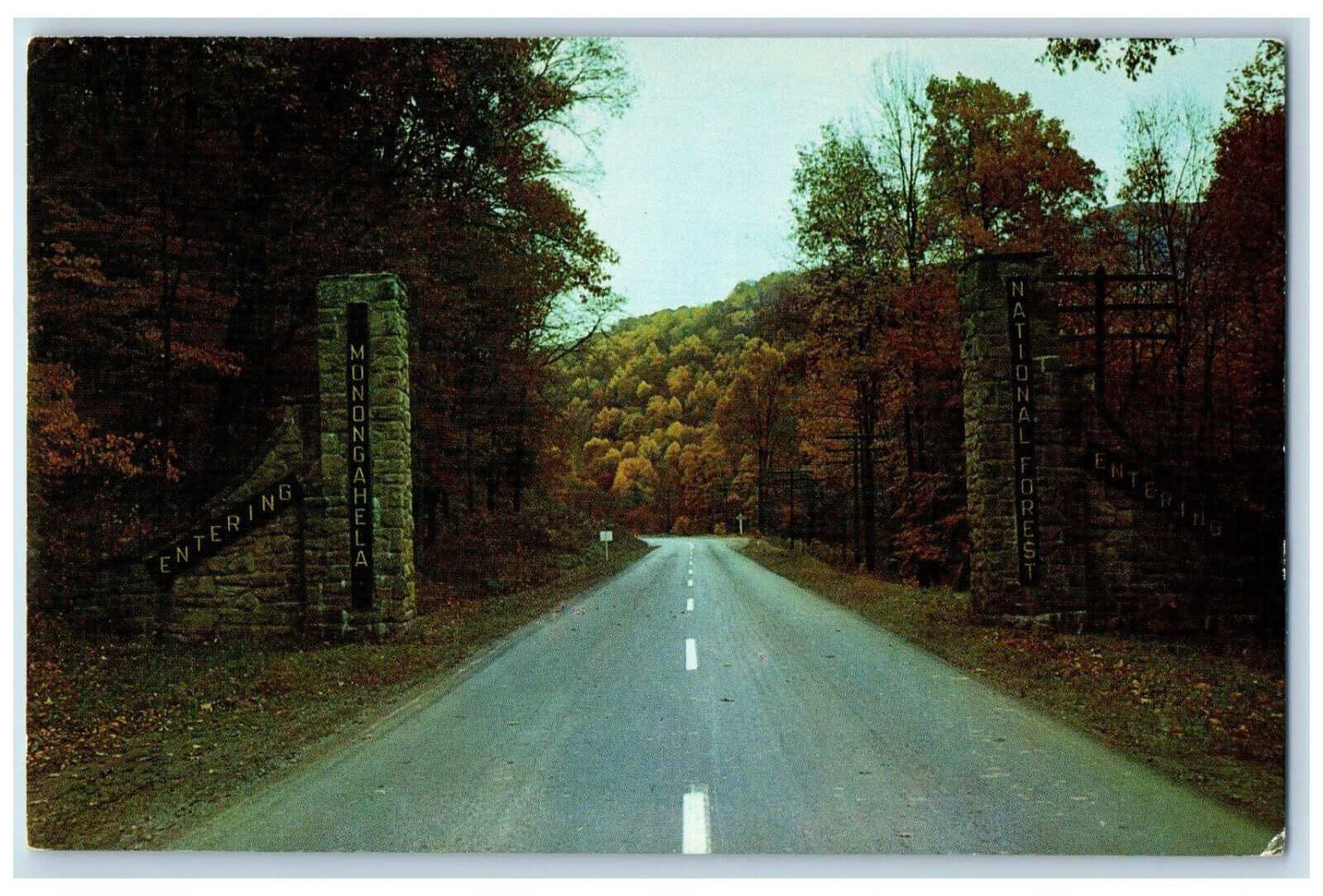 c1960's Entrance to Monongahela National Forest Near Elkins West VA Postcard