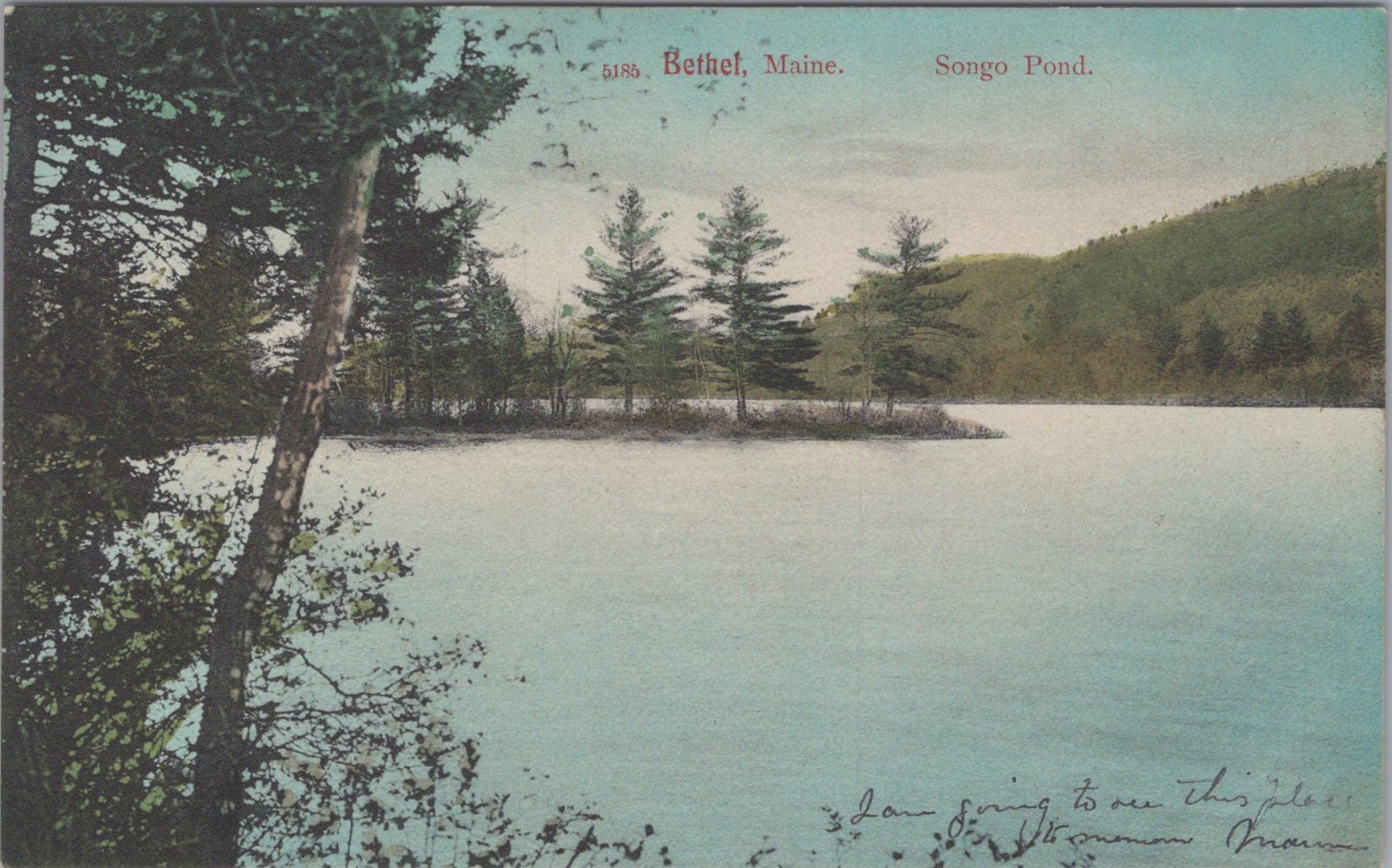 Songo Pond 5185 Bethel Maine ME Lake Trees Leighton Undivided Back Postcard
