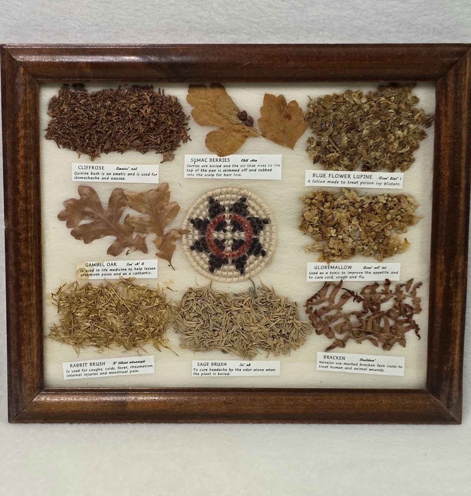 Vintage Framed Navajo Medicine Plant Chart Native American Herb 11.5”x 9.5” Art