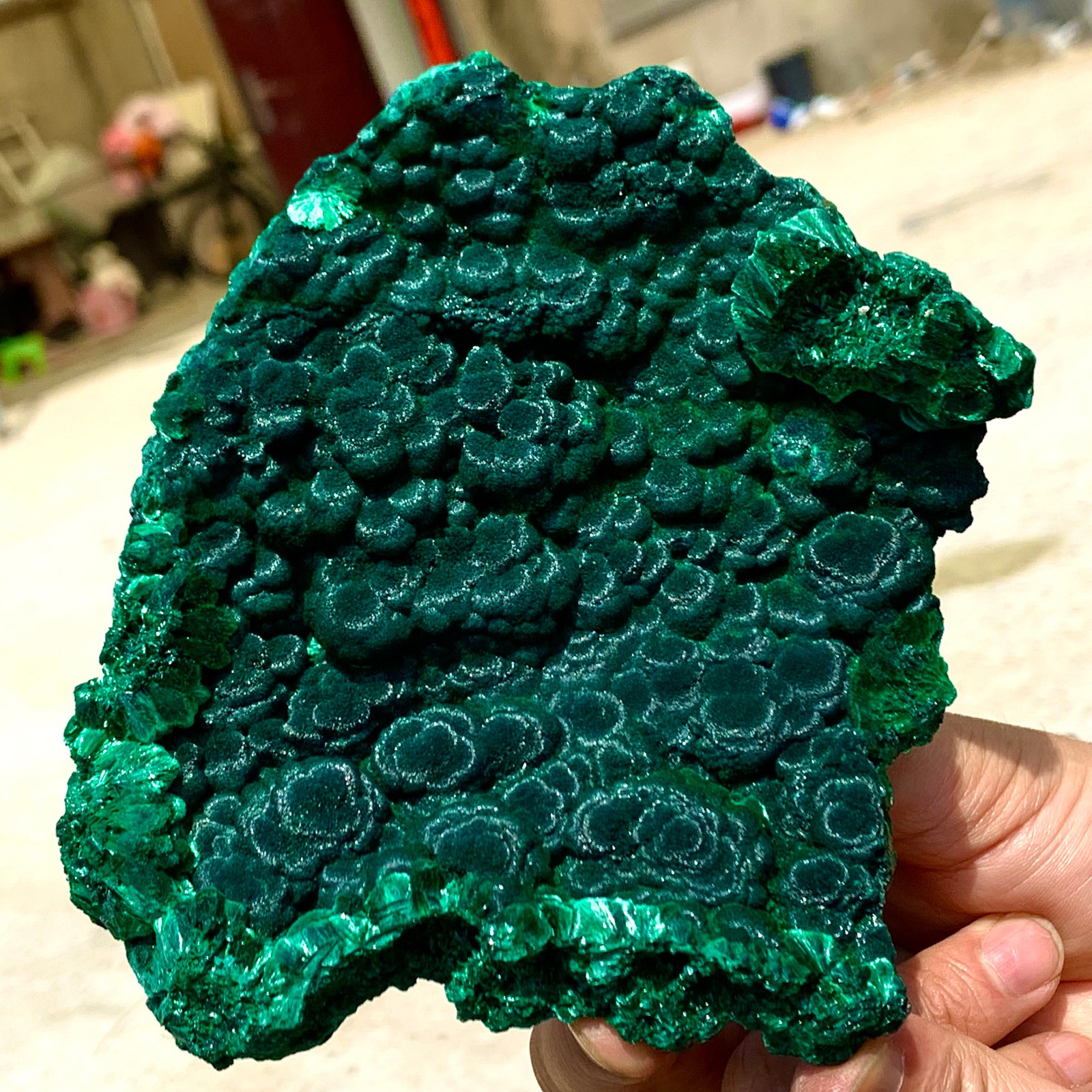 1.37LB Natural VELVET Azurite/Malachite cat\'s eye specimen crystal mineral-Congo