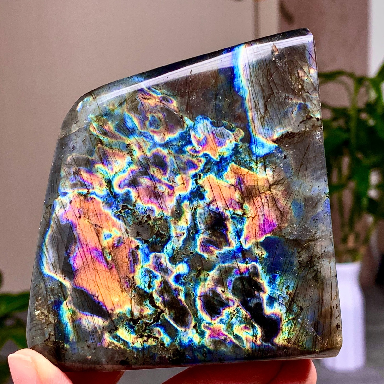 465G Natural Gorgeous Labradorite QuartzCrystal Stone Specimen Healing E116