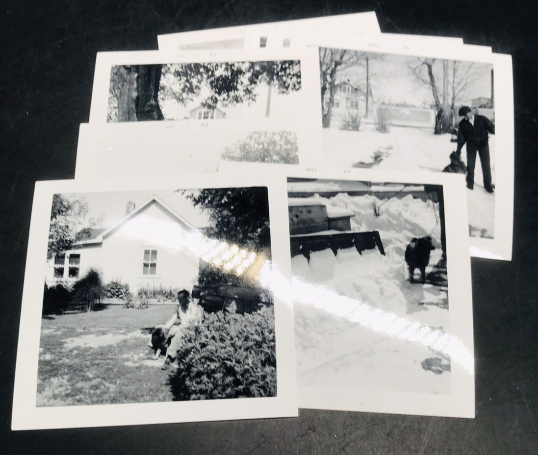8 Diff VTG 1963-1964 Man & His Dog Snapshot Photographs 3.5x3.5