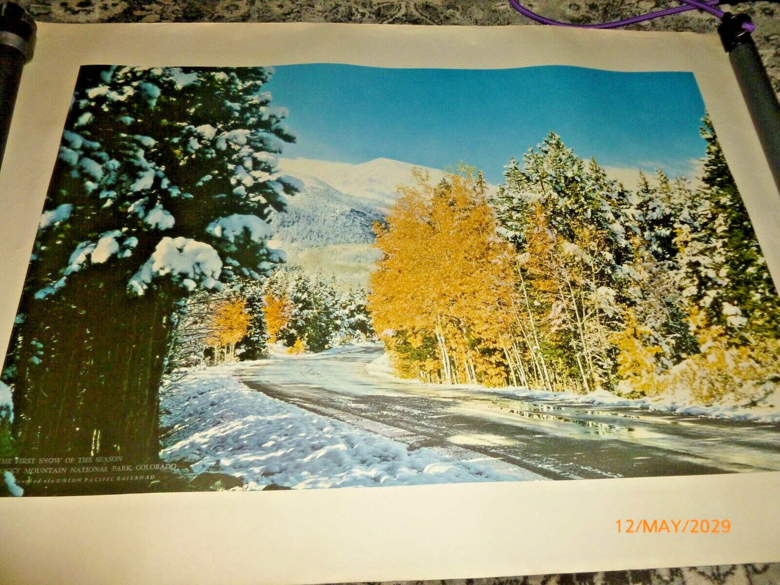 Vintage Union Pacific Railroad Photo Travel Poster Rocky Mtn. Park 36”x26” 1950s