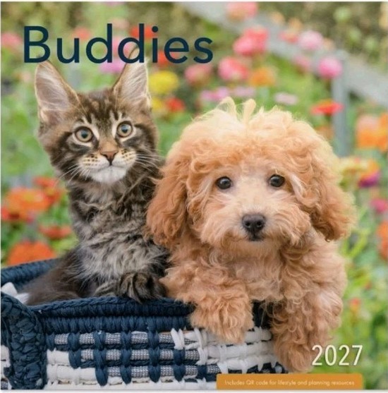 NEW Buddies 2027 Wall Calendar by DaySpring 12\