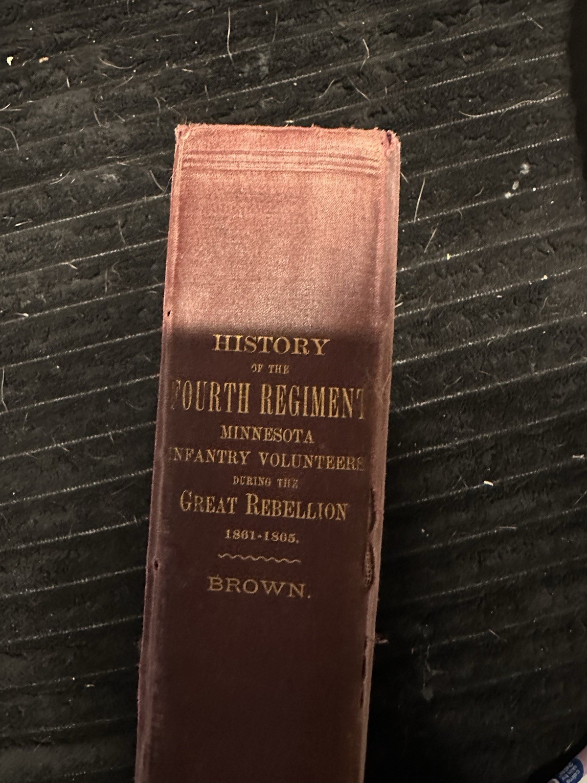History of the Fourth Regiment Minnesota Infantry Volunteers 1861-1865 Brown
